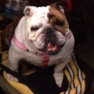 Meet your Posher, Birdie